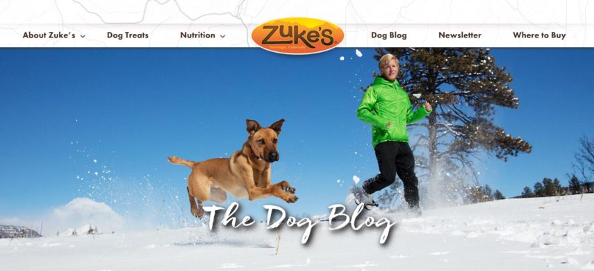 Zuke's dog blog screenshot